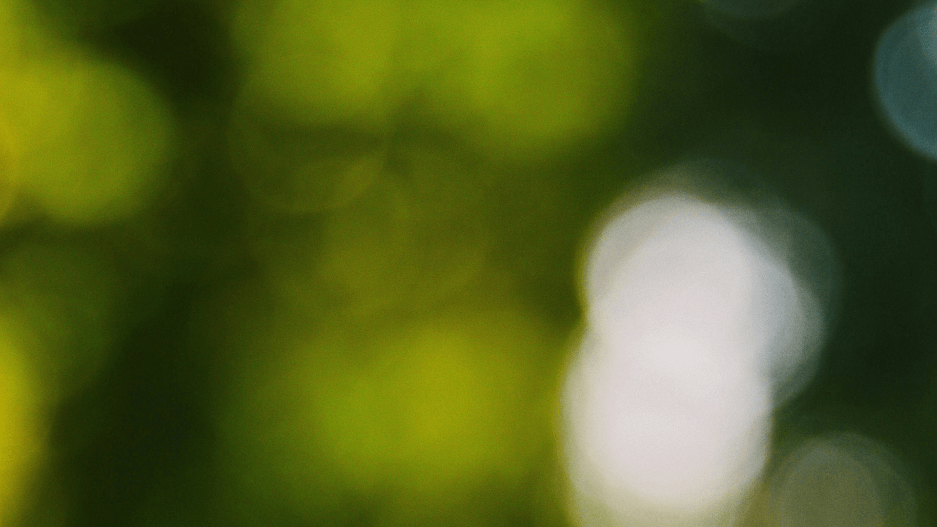 shades of green